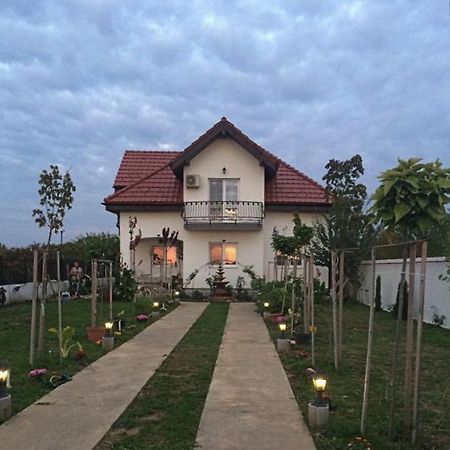 Hotel Blue Sky House Balotesti Zewnętrze zdjęcie