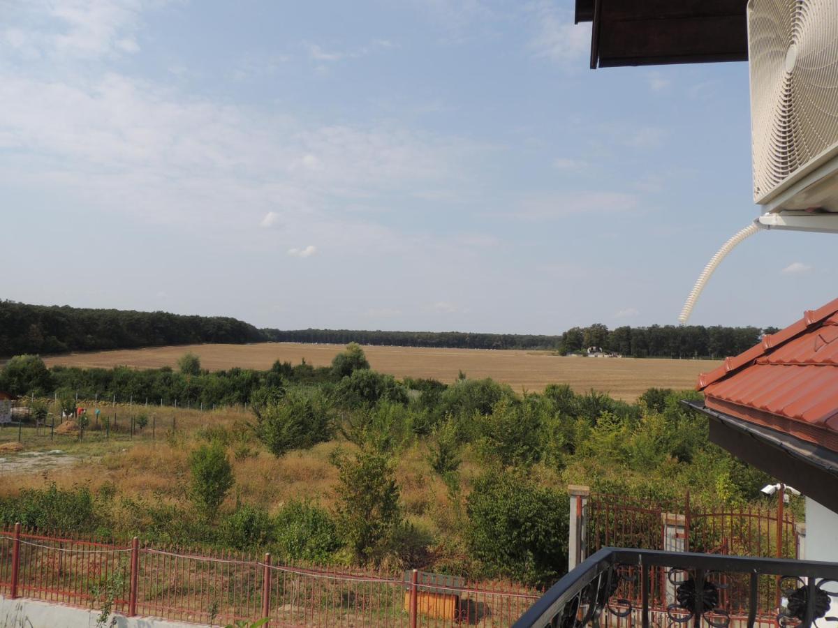 Hotel Blue Sky House Balotesti Zewnętrze zdjęcie