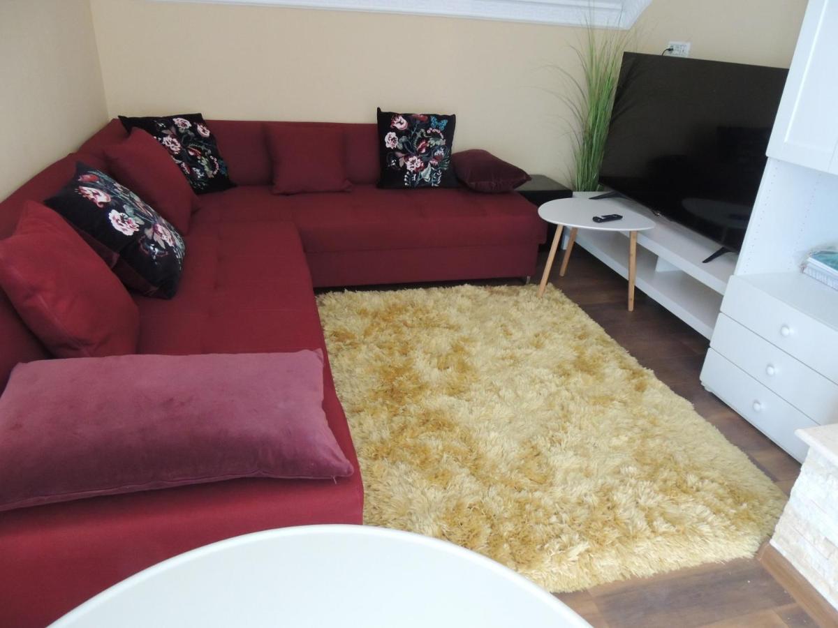 Hotel Blue Sky House Balotesti Zewnętrze zdjęcie