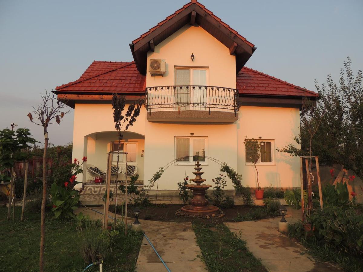 Hotel Blue Sky House Balotesti Zewnętrze zdjęcie