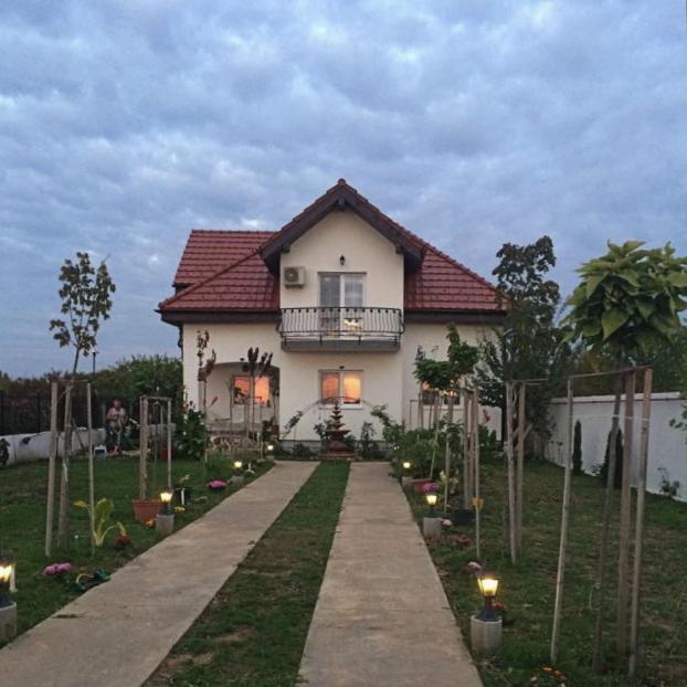 Hotel Blue Sky House Balotesti Zewnętrze zdjęcie
